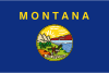 Montana 깃발