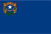 Nevada 깃발