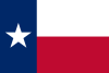 Texas 깃발