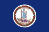 Virginia 깃발